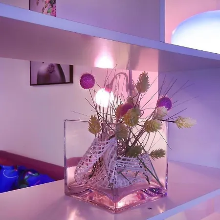 X-double Apartment